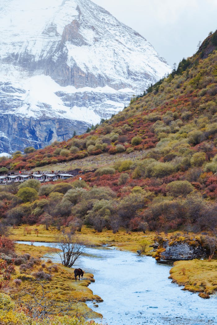 Mastering the First Impression: Your intriguing post title goes here Breathtaking view of an autumn meadow with a snowy mountain backdrop and winding stream.